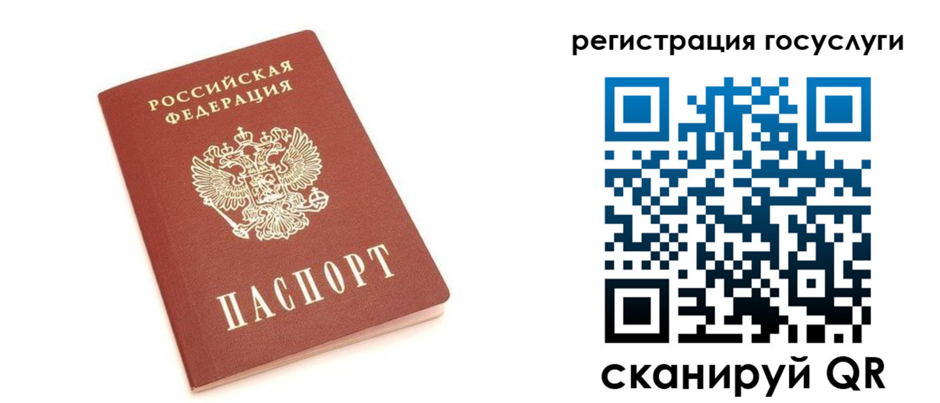 прописка 2025 в Приозерске